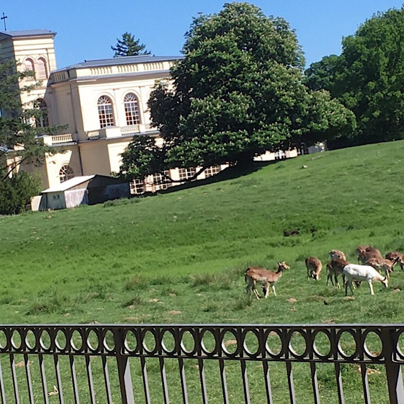 Ferienwohnung "Am Fechtertor- Eingang Zum Schlosspark" Putbus Luaran gambar